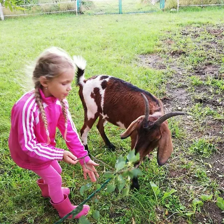 Ubytovani Se Zviratky *