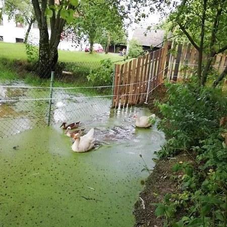 Ubytovani Se Zviratky فيلة