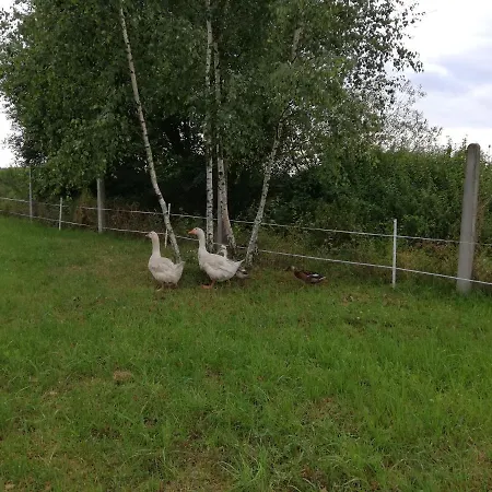 Ubytovani Se Zviratky