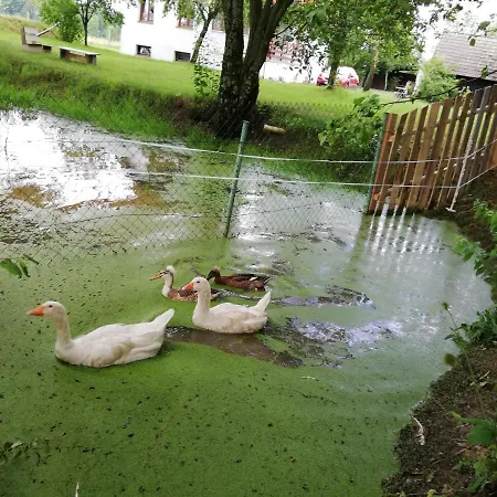 Ubytovani Se Zviratky * Jílovice